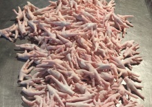 frozen chicken paws  - product's photo