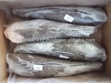  seabass - product's photo