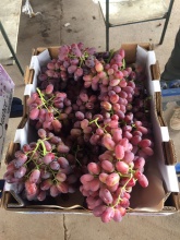 crimson seedlees grape - product's photo
