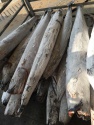 riborn fish - product's photo