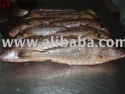yellow croaker (corvina rubia) - product's photo