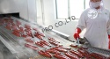 frozen roasted eel - product's photo