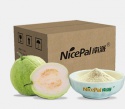 free sample spray dried guava fruit juice powder - product's photo