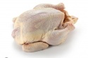 frozen meat, horse meat, chicken, pork meat, lamb , livestocks - product's photo