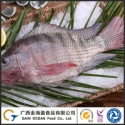 frozen tilapia - product's photo