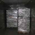 bait fish - product's photo