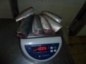 frozen sardines hgt - product's photo