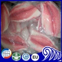 frozen tilapia fillet with skineless and boneless - product's photo