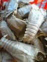 fresh slipper lobster - product's photo