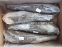  seabass - product's photo