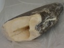 chilean sea bass - product's photo