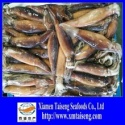 frozen illex giant squid - product's photo