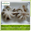 frozen baby octopus - product's photo