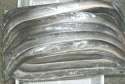 fresh eel fish - product's photo