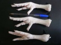halal frozen chicken feet - product's photo